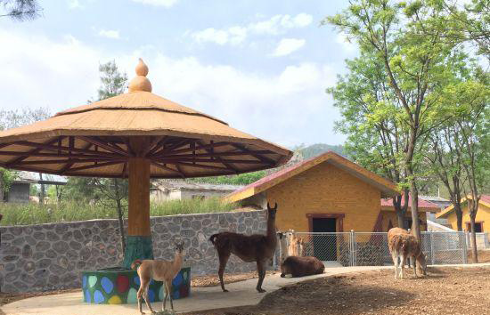 石家(jiā)莊動物園景觀項目工程改造升級順利完成